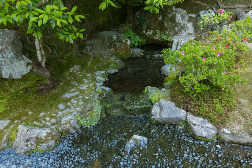 お茶の井