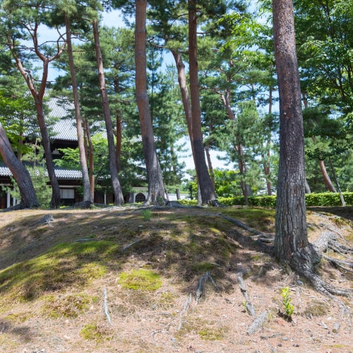 10 仏殿跡 Butsudenato